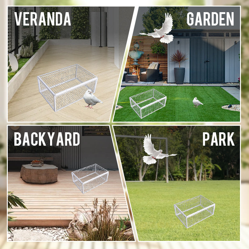 Animal-Friendly Bird Trap with Anti-Backlash Protection – BirdSafe Trap-2 Entrances-State of Style