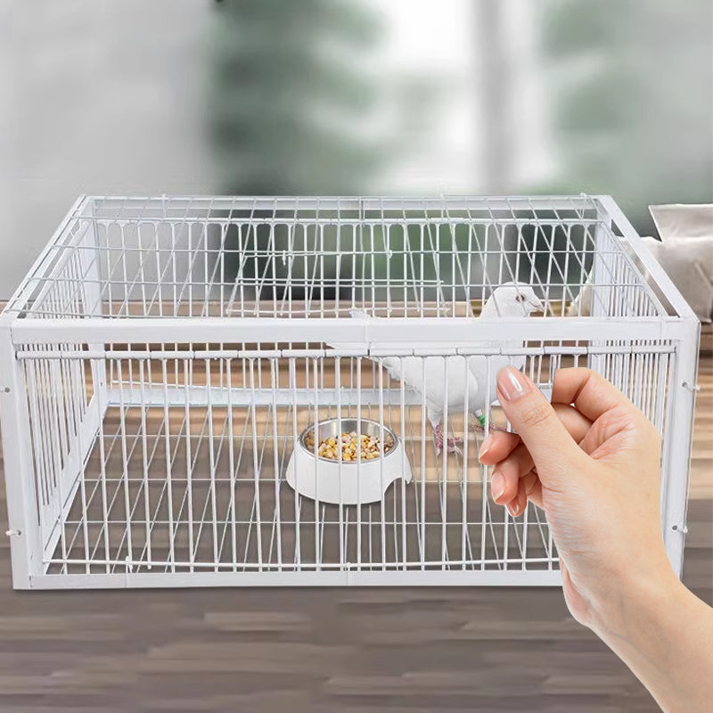 Animal-Friendly Bird Trap with Anti-Backlash Protection – BirdSafe Trap-2 Entrances-State of Style
