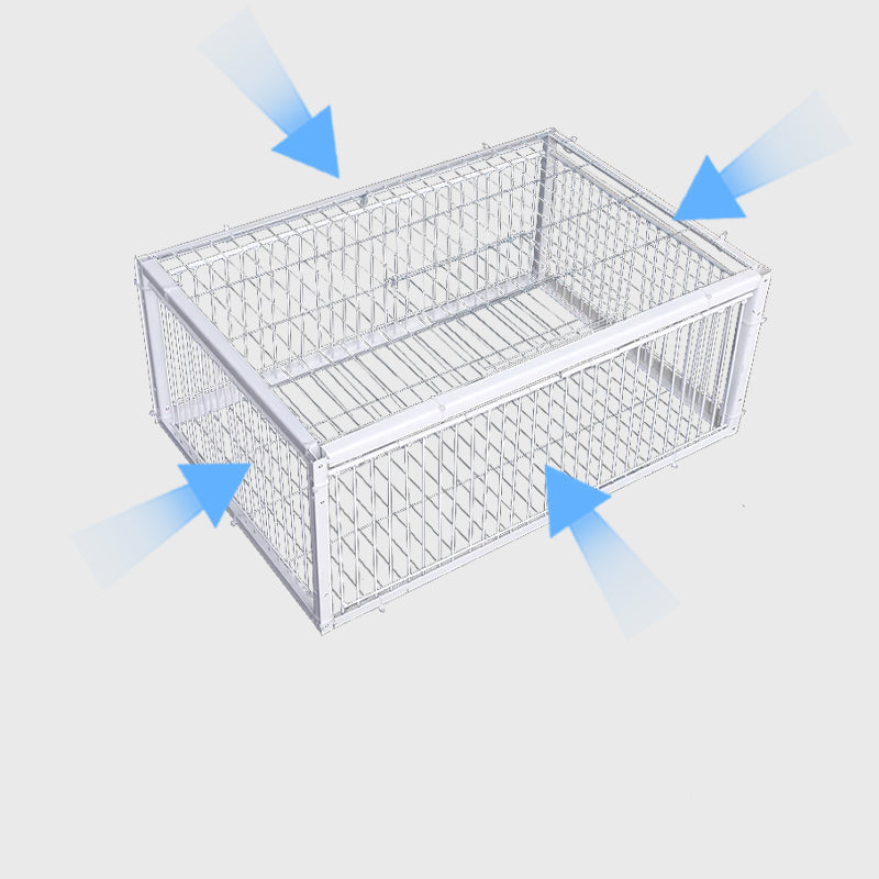 Animal-Friendly Bird Trap with Anti-Backlash Protection – BirdSafe Trap-4 Entrances-State of Style