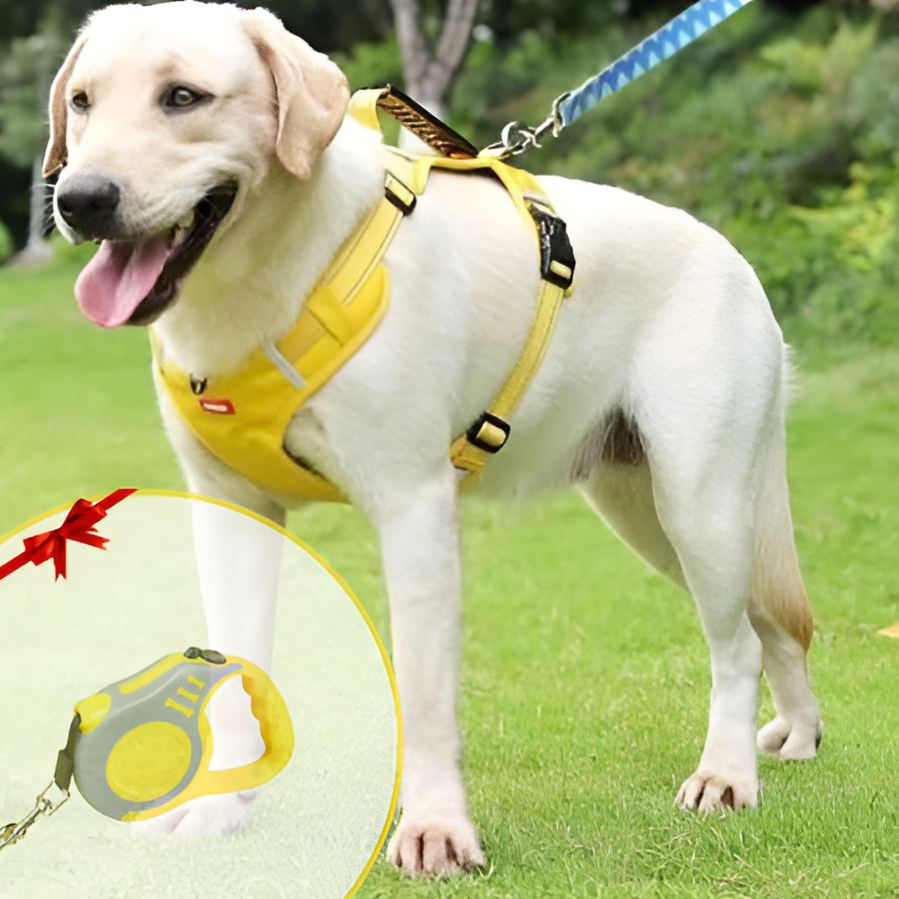 Anti-Pull Dog Harness - FlexiFit-XS (2.5-5 KG)-Yellow-State of Style