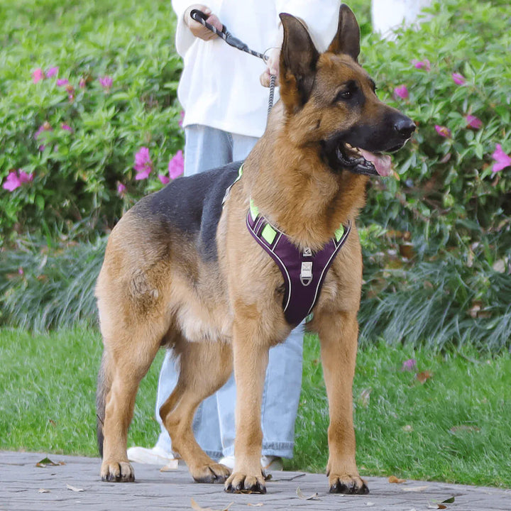Anti-Trek Dog Harness with Comfort Padding – PullFree-Blue-S (3-7 Kg)-State of Style