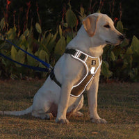 Anti-Trek Dog Harness with Comfort Padding – PullFree-Blue-S (3-7 Kg)-State of Style