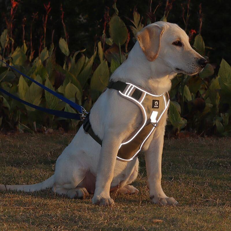 Anti-Trek Dog Harness with Comfort Padding – PullFree-Blue-S (3-7 Kg)-State of Style