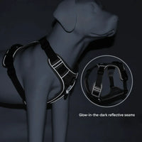 Anti-Trek Dog Harness with Comfort Padding – PullFree-Blue-S (3-7 Kg)-State of Style