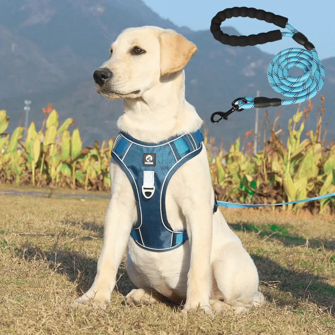 Anti-Trek Dog Harness with Comfort Padding – PullFree-Blue-S (3-7 Kg)-State of Style