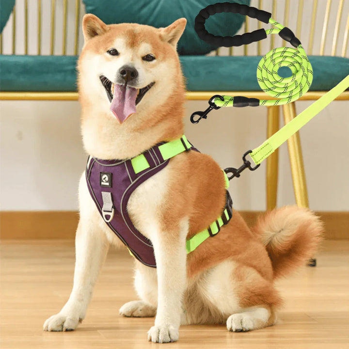 Anti-Trek Dog Harness with Comfort Padding – PullFree-Mauve-S (3-7 Kg)-State of Style