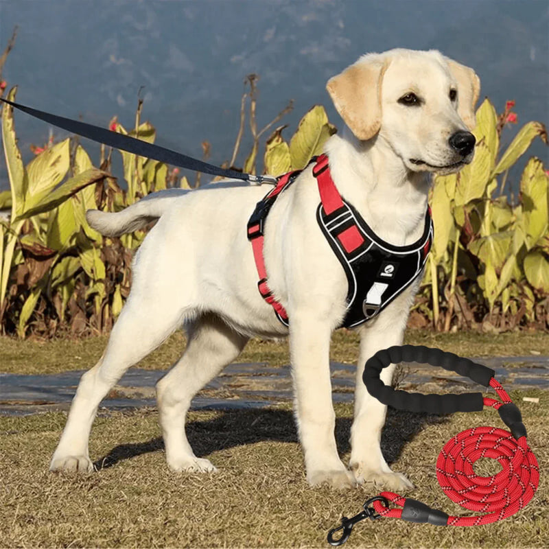 Anti-Trek Dog Harness with Comfort Padding – PullFree-Red-S (3-7 Kg)-State of Style