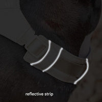 AquaCool - Anti-Pull Dog Harness with Multi-Functional Leash-Harness - Beige-XS-State of Style