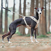 AquaCool - Anti-Pull Dog Harness with Multi-Functional Leash-Harness - Beige-XS-State of Style