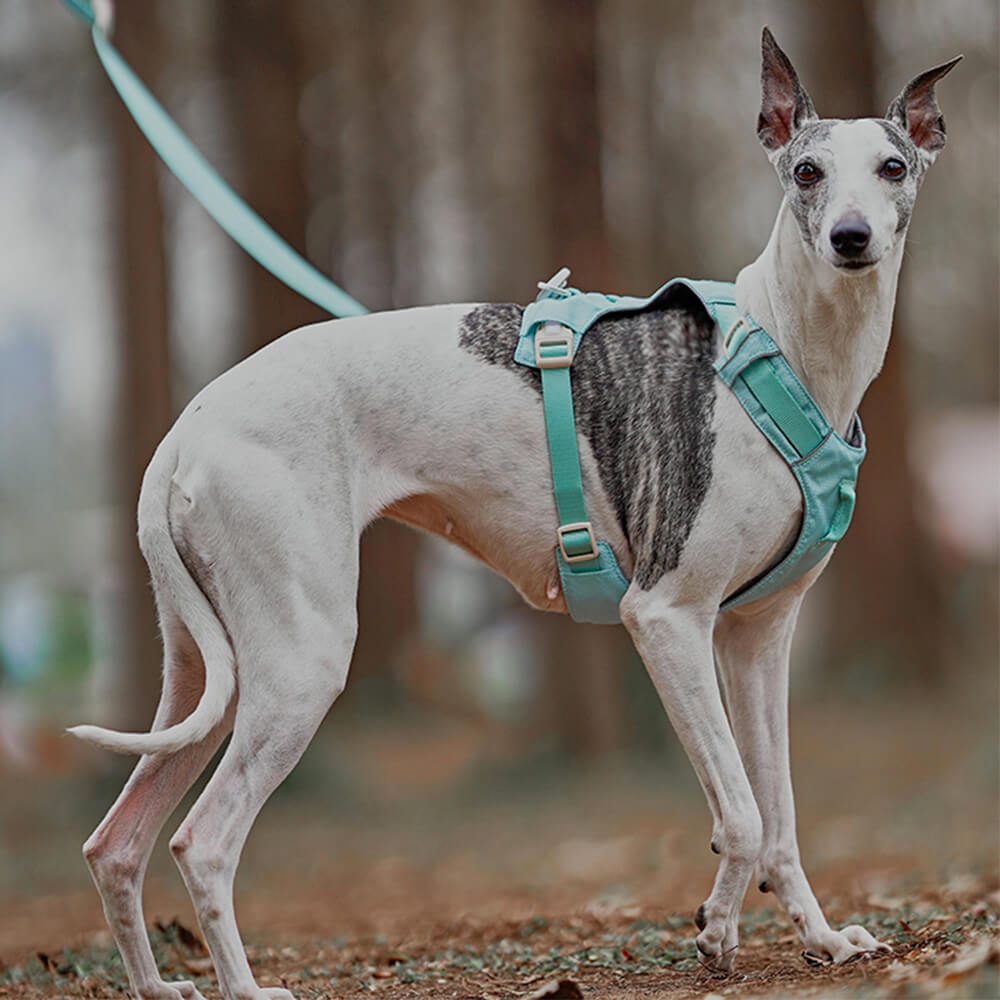 AquaCool - Anti-Pull Dog Harness with Multi-Functional Leash-Harness - Beige-XS-State of Style