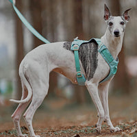 AquaCool - Anti-Pull Dog Harness with Multi-Functional Leash-Harness - Beige-XS-State of Style