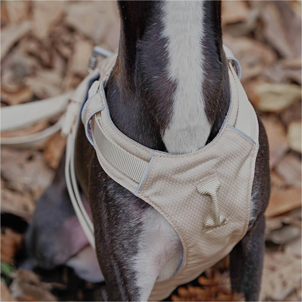 AquaCool - Anti-Pull Dog Harness with Multi-Functional Leash-Harness - Beige-XS-State of Style