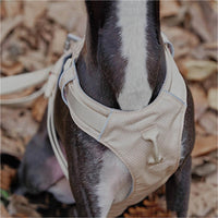 AquaCool - Anti-Pull Dog Harness with Multi-Functional Leash-Harness - Beige-XS-State of Style