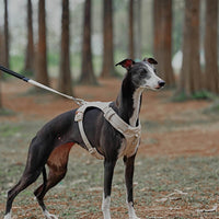 AquaCool - Anti-Pull Dog Harness with Multi-Functional Leash-Harness - Beige-XS-State of Style