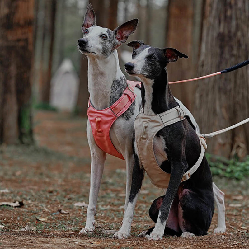 AquaCool - Anti-Pull Dog Harness with Multi-Functional Leash-Harness - Beige-XS-State of Style