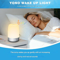 Aurora Wake-Up Light with Natural Sounds-State of Style