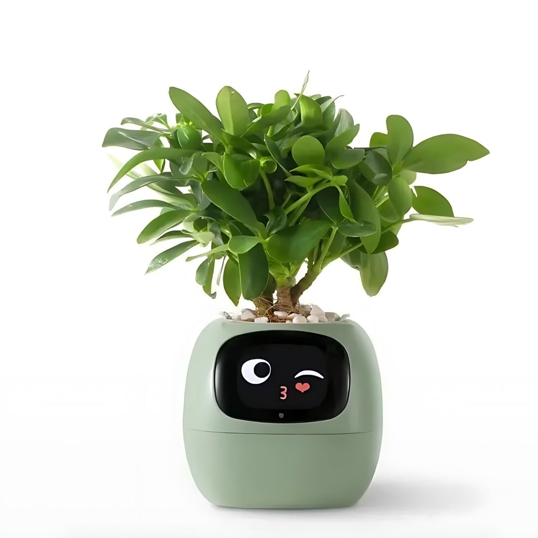 Automatic Smart Flowerpot - GreenBuddy SmartPot-Green-State of Style