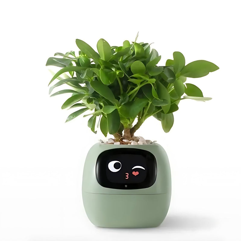 Automatic Smart Flowerpot - GreenBuddy SmartPot-Green-State of Style