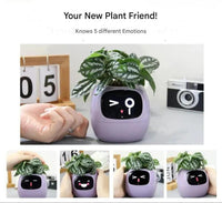 Automatic Smart Flowerpot - GreenBuddy SmartPot-Green-State of Style