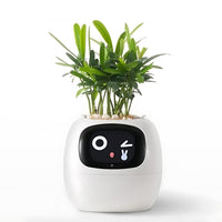 Automatic Smart Flowerpot - GreenBuddy SmartPot-White-State of Style