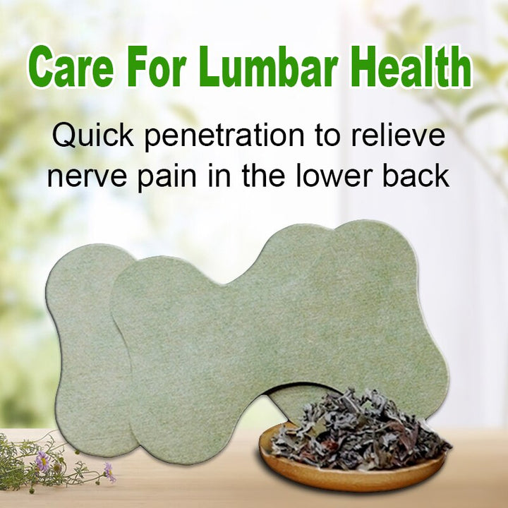 Back Pain Relief Kit - HerbalPatch-Kit for 30 days-State of Style