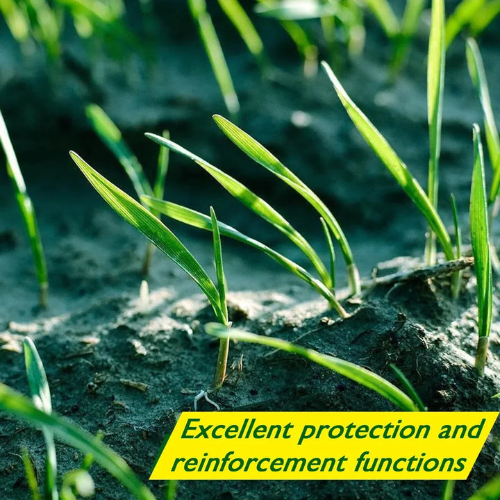 Biodegradable Grass Seed Mat - Verdi-State of Style