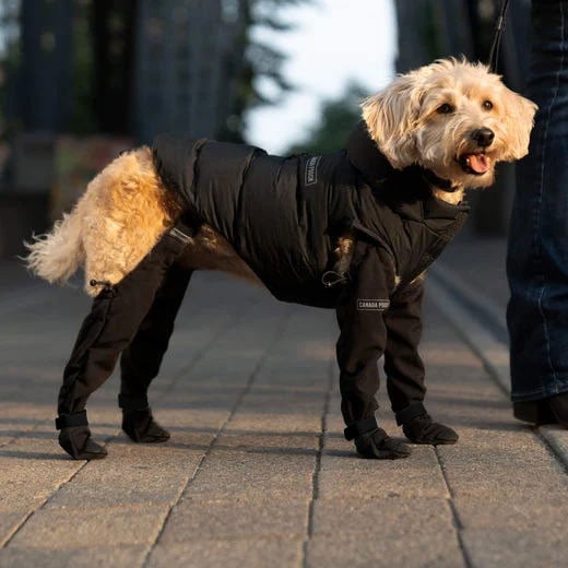 Boots for Safe Outdoor Adventures - PawShield-S-State of Style