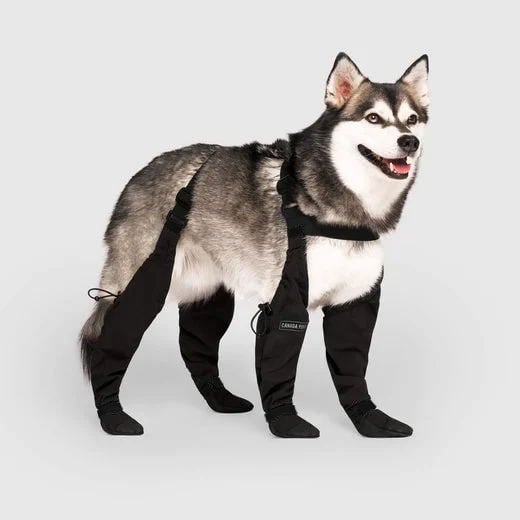 Boots for Safe Outdoor Adventures - PawShield-S-State of Style