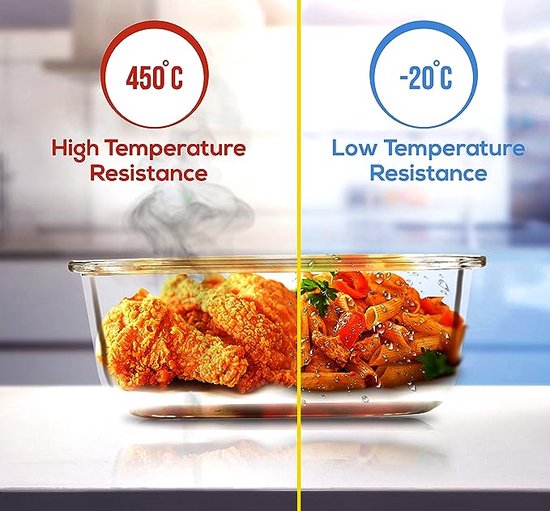 Borosilicate Glass Lunchbox - GlassGuard Bento-1x Rectangle 320ml-State of Style