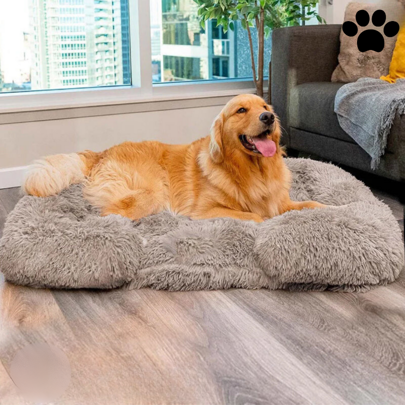 Calming Dog Bed with Memory Foam - Charlie-S-Anthracite-State of Style