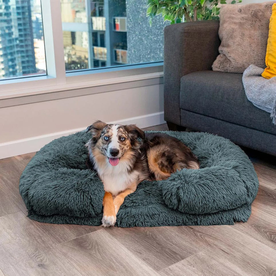 Calming Dog Bed with Memory Foam - Charlie-S-Anthracite-State of Style