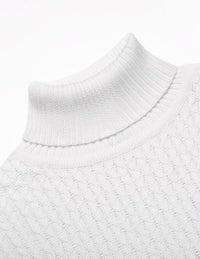 Casual Knit Men's Turtleneck - Sander-Black-S-State of Style