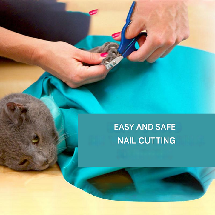 Cat Carrier for Comfortable Transport (Buy 1 Get 1 Free) - PurrPorter-State of Style