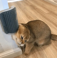 Cat Corner Brush for Self-Grooming - PurrGroom-Grey-9x13cm-State of Style