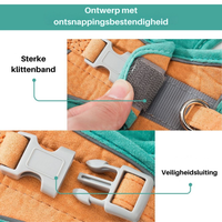 Cat Harness - Oscar-Orange | Teal-S-State of Style