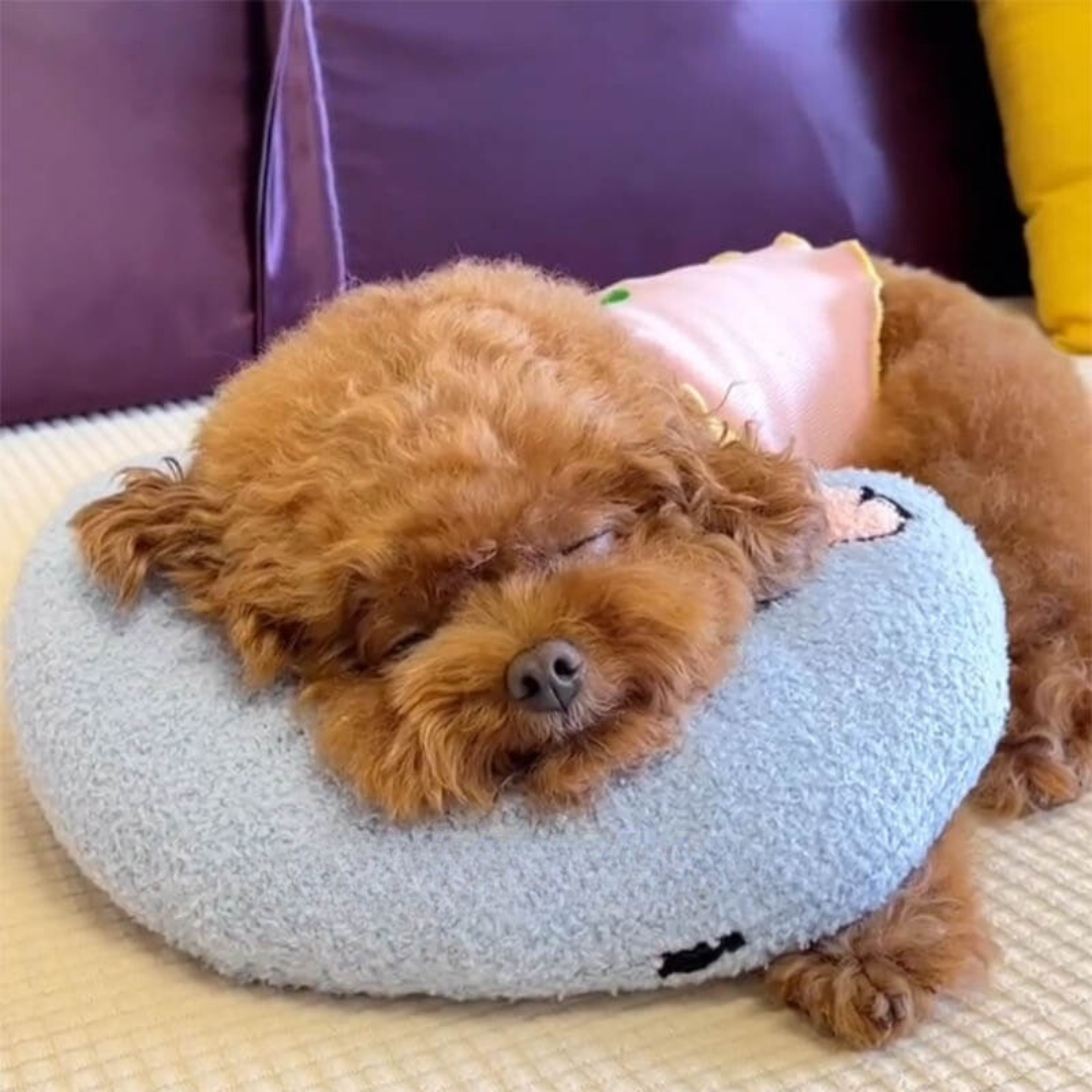 Comfortable Dog Cushion - CalmNest-Blue-State of Style
