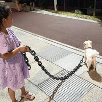 Cool and Funny Dog Leash - PawChic-Bronze-150 cm-State of Style