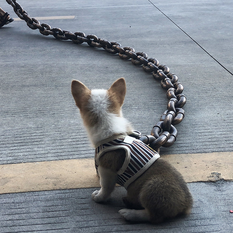 Cool and Funny Dog Leash - PawChic-Bronze-150 cm-State of Style
