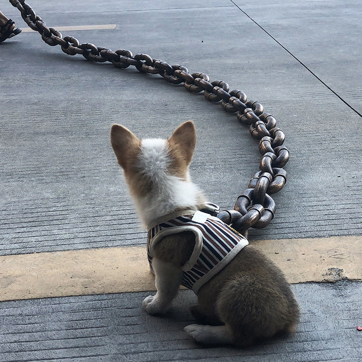 Cool and Funny Dog Leash - PawChic-Bronze-150 cm-State of Style