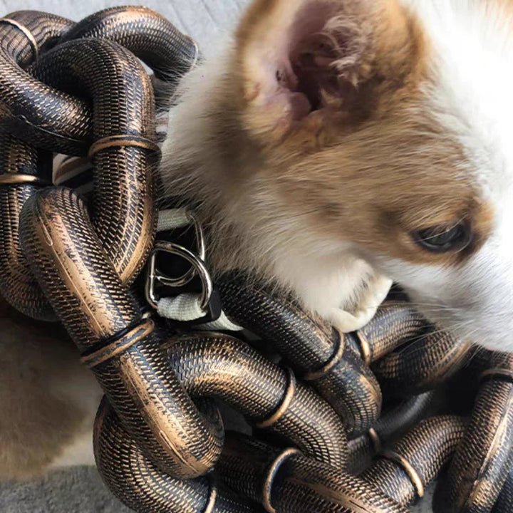 Cool and Funny Dog Leash - PawChic-Bronze-150 cm-State of Style