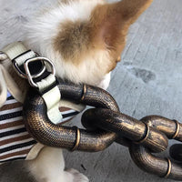 Cool and Funny Dog Leash - PawChic-Bronze-150 cm-State of Style