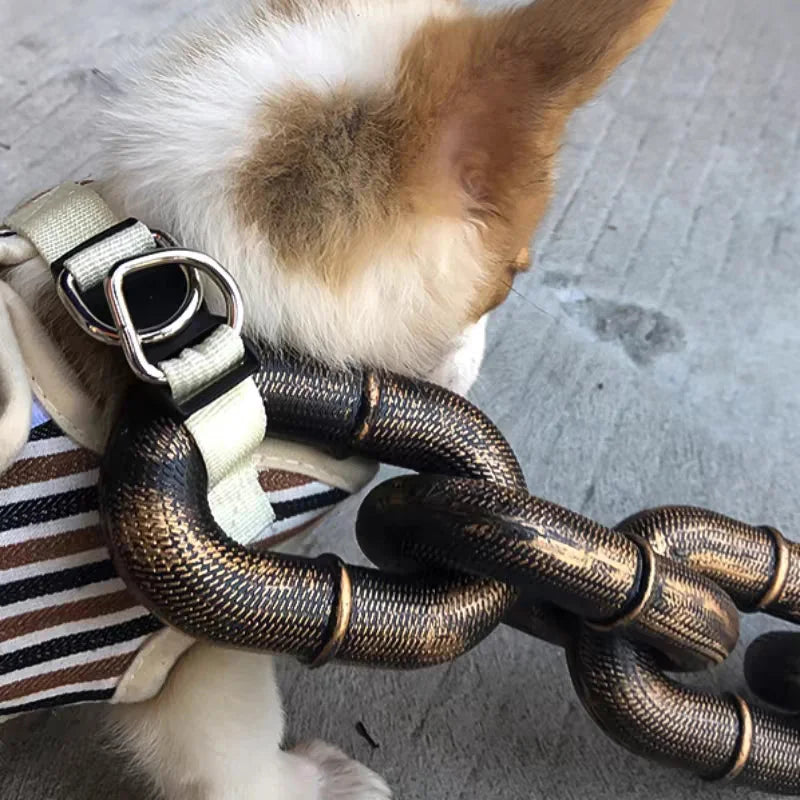Cool and Funny Dog Leash - PawChic-Bronze-150 cm-State of Style