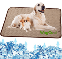 Cooling Dog Mat - CoolPet Mat-XS 40x30cm-Coffee-State of Style