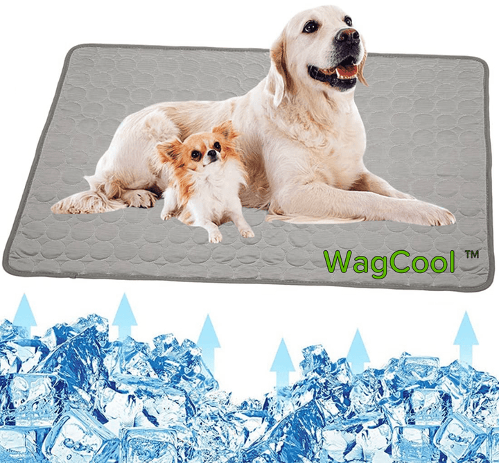 Cooling Dog Mat - CoolPet Mat-XS 40x30cm-Gray-State of Style