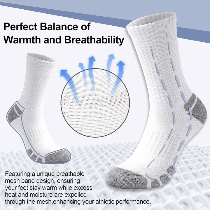 Cotton Sports Socks Unisex (6 Pairs) - Robin-Black-S - AU 6-9-State of Style