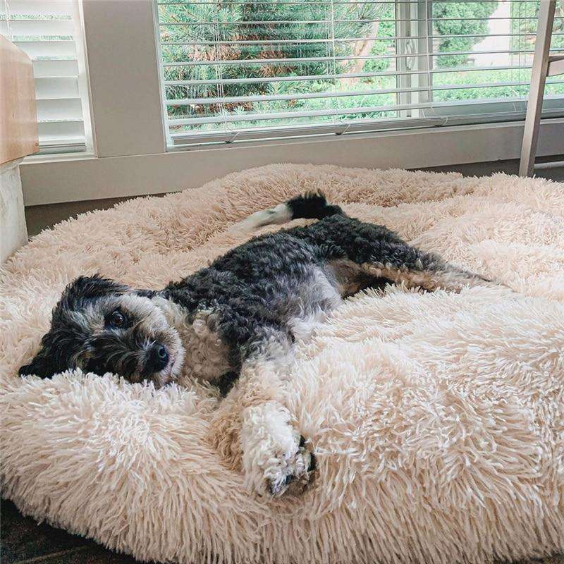 Calming Anti-Stress Dog Cushion – Nuvio