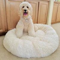 Calming Anti-Stress Dog Cushion – Nuvio
