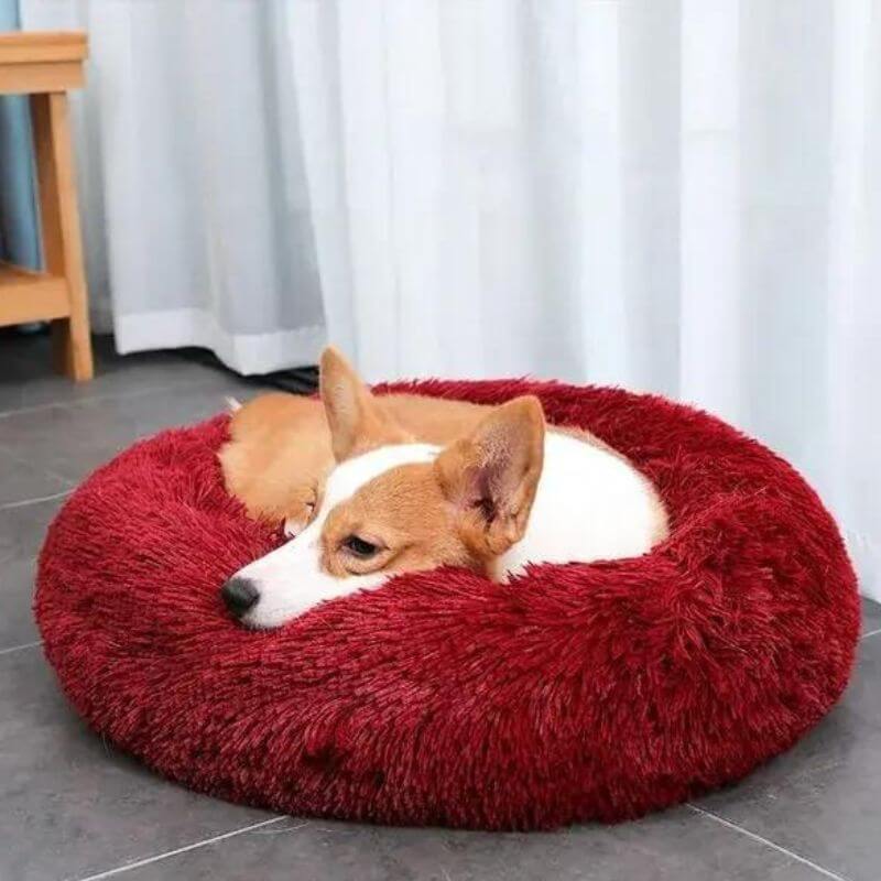 Calming Anti-Stress Dog Cushion – Nuvio