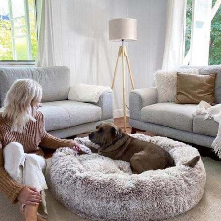 Calming Anti-Stress Dog Cushion – Nuvio