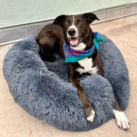 Calming Anti-Stress Dog Cushion – Nuvio